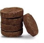 cow dung cakes .jpg
