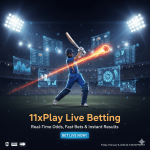 https11xplayhub.com (2).png