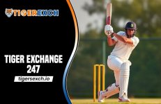 Tiger Exchange 247.jpeg