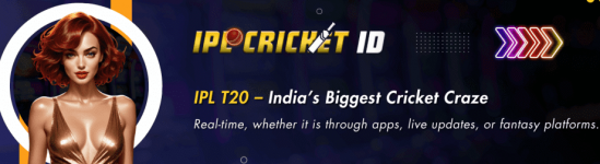 IPL-T20-–-Indias-Biggest-Cricket-Craze-1024x320.png