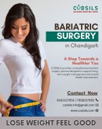 Bariatric Surgery in Chandigarh.jpg