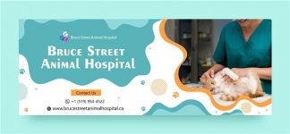 bruce street animal hospital cover.jpg