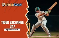 Tiger Exchange 247.jpeg