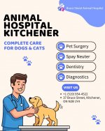animal hospital kitchner.jpg