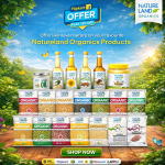 Top Organic Food Brands in India You Must Try.png