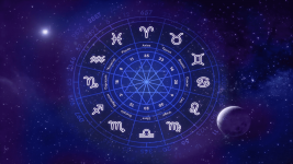 best astrologer in jaipur (3).png