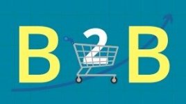B2b 2.jpg