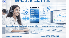 ivr service .png