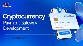 crypto-payment-gateway-development.png