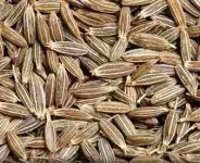 Cumin Seeds.jpg