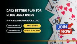 Daily Betting Plan for Reddy Anna Users.jpg