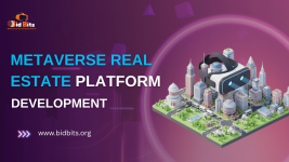 Metaverse real Estate Platform.png