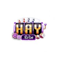 haywin1fun