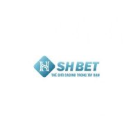 shbet800com3
