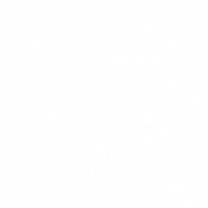 alisan smart homes