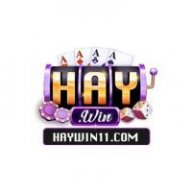 haywin11com