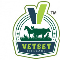 Vetsetlifecare