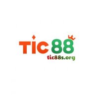 tic88sorg