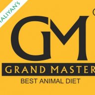 grandmaster
