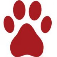 householddog1