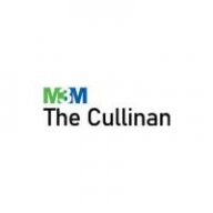 m3mthecullinannoida