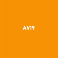 av19korea