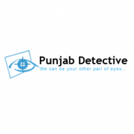 punjabdetective11