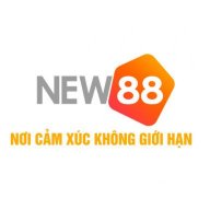 new88cco1