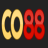 co88ws1