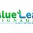 blueleaf