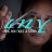 lnyhairandwig