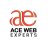 acewebexperts30