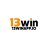 13winappio