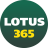 dmlotus365